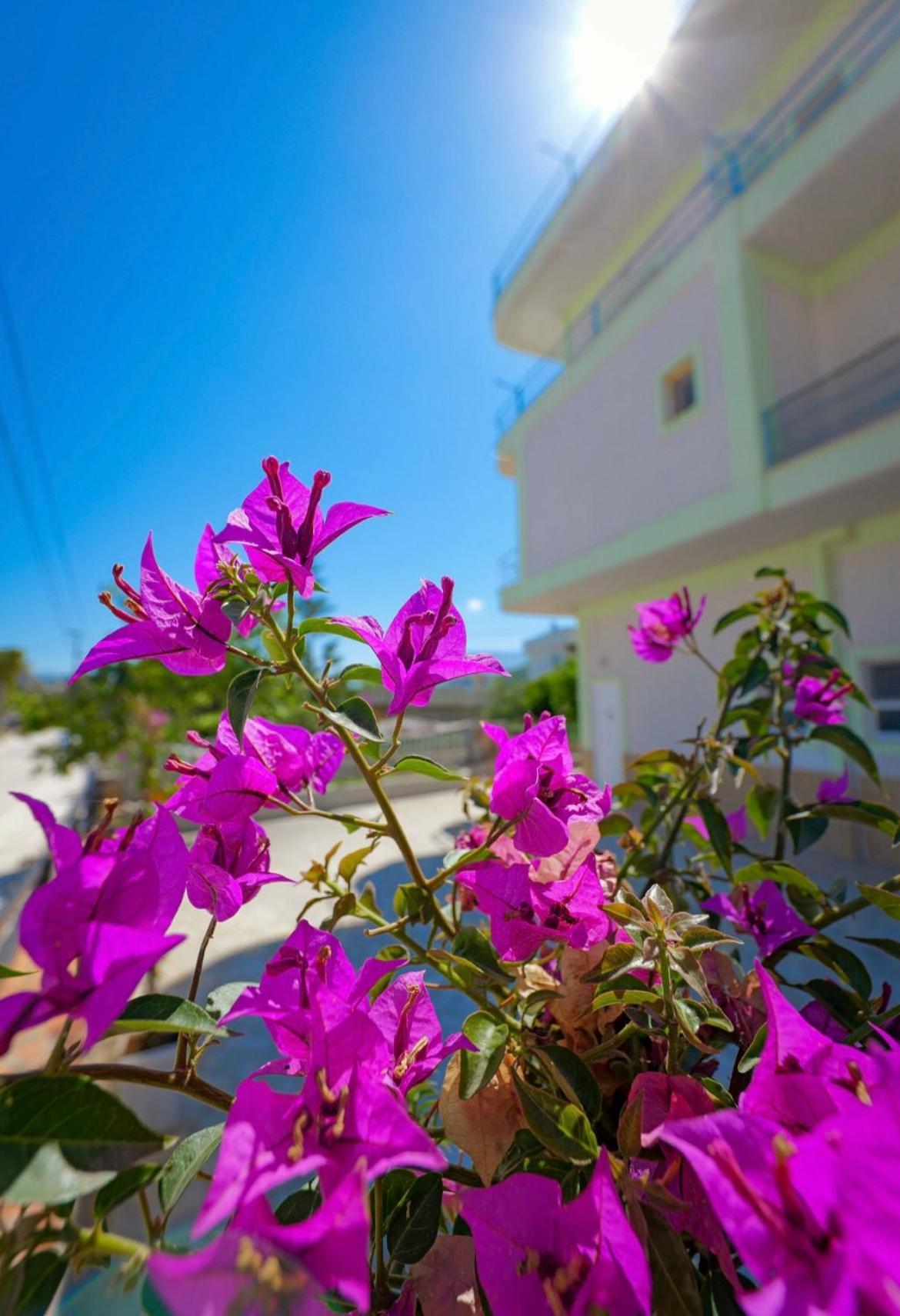 Sunflower Hotel Ksamil Zewnętrze zdjęcie